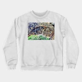 Wheel Reveal Crewneck Sweatshirt